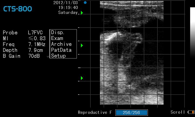 Image clinique obtenue avec l'échographe de poche vétérinaire SIUI CTS 800
