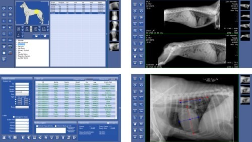 Logiciel des systèmes de radiographie numérique vétérinaires portables SIUI SR 1000V SR 2300V